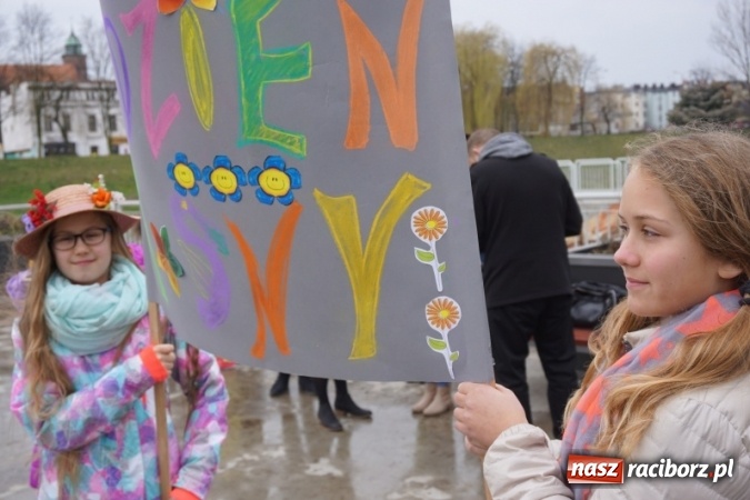 Zdjęcie w galerii na portalu naszraciborz.pl: Wiosna radosna na bulwarach i przystani wiadomości z regionu