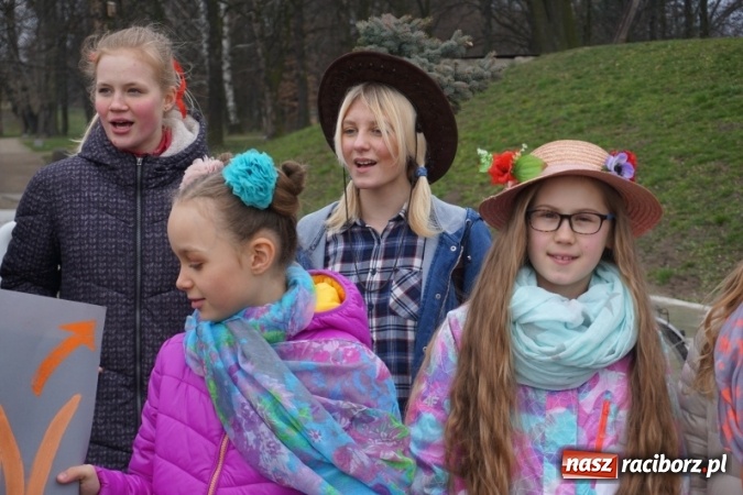 Zdjęcie w galerii na portalu naszraciborz.pl: Wiosna radosna na bulwarach i przystani wiadomości z regionu