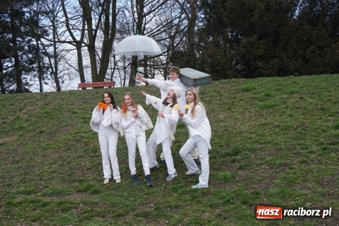 Zdjęcie w galerii na portalu naszraciborz.pl: Wiosna radosna na bulwarach i przystani wiadomości z regionu