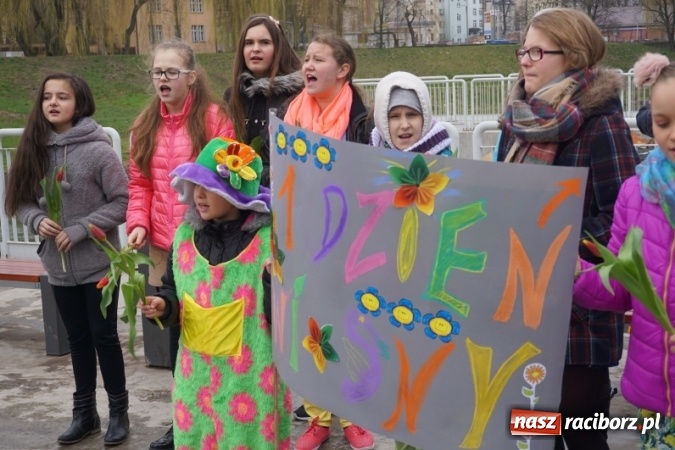 Zdjęcie w galerii na portalu naszraciborz.pl: Wiosna radosna na bulwarach i przystani wiadomości z regionu