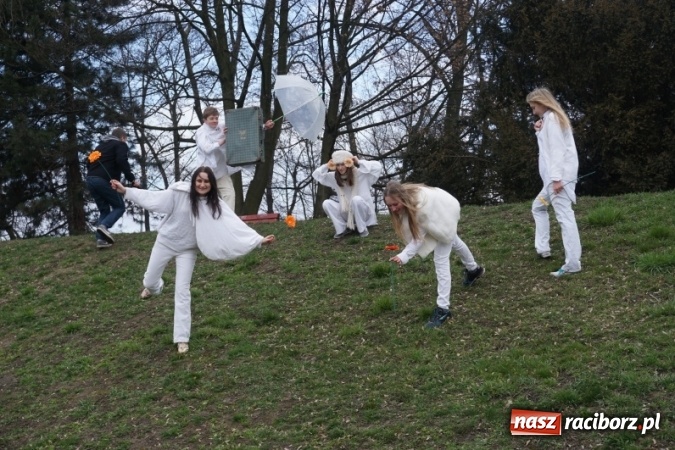 Zdjęcie w galerii na portalu naszraciborz.pl: Wiosna radosna na bulwarach i przystani wiadomości z regionu