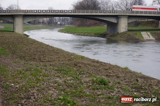 Zdjęcie w galerii na portalu naszraciborz.pl: Wiosna radosna na bulwarach i przystani wiadomości z regionu