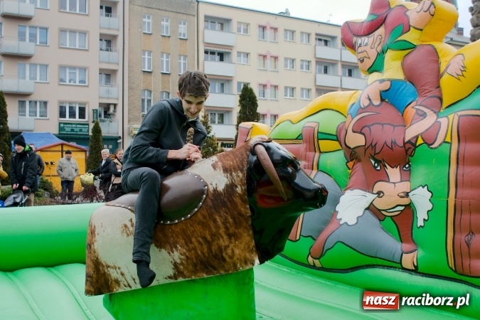Zdjęcie w galerii na portalu naszraciborz.pl: I Mistrzostwa Raciborza Bakszysz Burger Open w ujeżdżaniu byka za nami wiadomości z regionu