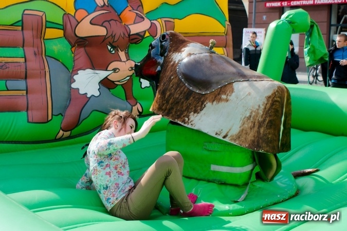 Zdjęcie w galerii na portalu naszraciborz.pl: I Mistrzostwa Raciborza Bakszysz Burger Open w ujeżdżaniu byka za nami wiadomości z regionu