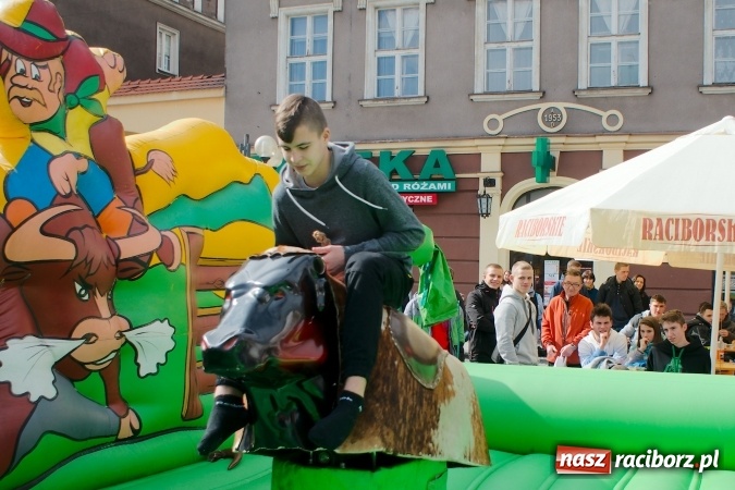 Zdjęcie w galerii na portalu naszraciborz.pl: I Mistrzostwa Raciborza Bakszysz Burger Open w ujeżdżaniu byka za nami wiadomości z regionu