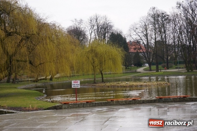 Zdjęcie w galerii na portalu naszraciborz.pl: Przedszkolaki powitały wiosnę  wiadomości z regionu