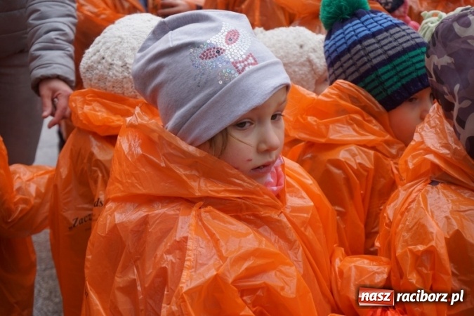 Zdjęcie w galerii na portalu naszraciborz.pl: Przedszkolaki powitały wiosnę  wiadomości z regionu