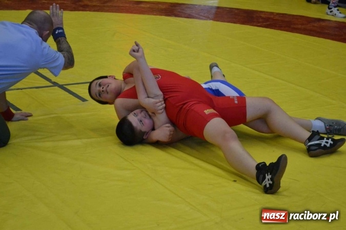 Zdjęcie w galerii na portalu naszraciborz.pl: Zapaśnicy przywieźli worek medali z Mistrzostw Śląska wiadomości z regionu