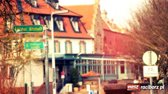 Zdjęcie w galerii na portalu naszraciborz.pl: Uczniowie CKZiU nr 1 w Raciborzu mają swoje pasje  wiadomości z regionu