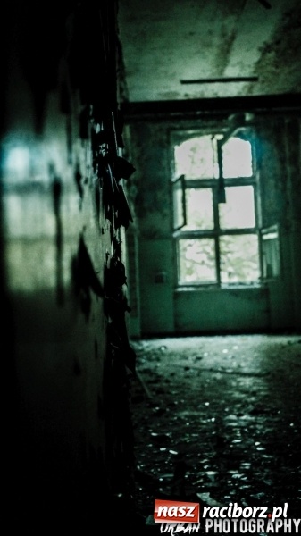 Zdjęcie w galerii na portalu naszraciborz.pl: Uczniowie CKZiU nr 1 w Raciborzu mają swoje pasje  wiadomości z regionu