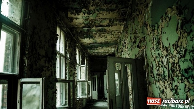 Zdjęcie w galerii na portalu naszraciborz.pl: Uczniowie CKZiU nr 1 w Raciborzu mają swoje pasje  wiadomości z regionu