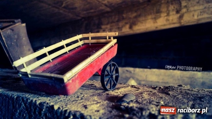 Zdjęcie w galerii na portalu naszraciborz.pl: Uczniowie CKZiU nr 1 w Raciborzu mają swoje pasje  wiadomości z regionu