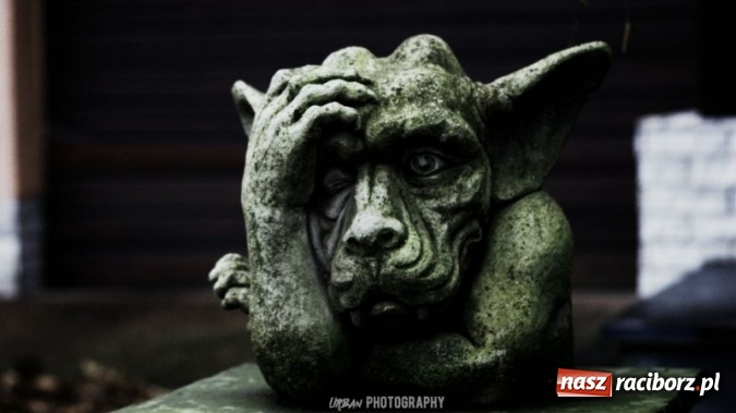 Zdjęcie w galerii na portalu naszraciborz.pl: Uczniowie CKZiU nr 1 w Raciborzu mają swoje pasje  wiadomości z regionu