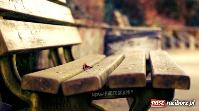 Zdjęcie w galerii na portalu naszraciborz.pl: Uczniowie CKZiU nr 1 w Raciborzu mają swoje pasje  wiadomości z regionu