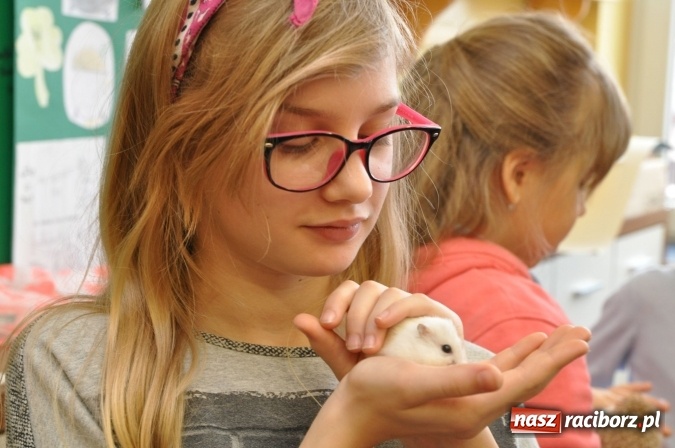 Zdjęcie w galerii na portalu naszraciborz.pl: Już wiemy, co nas kręci i jakie mamy talenty! Pierwszy dzień wiosny w SP18 wiadomości z regionu