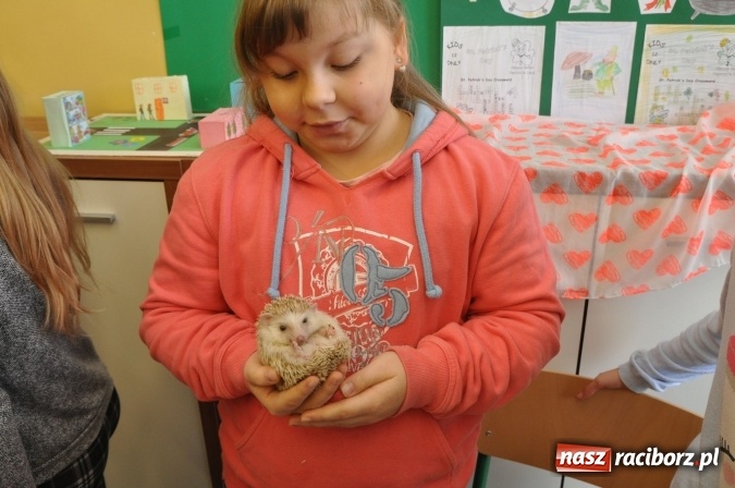 Zdjęcie w galerii na portalu naszraciborz.pl: Już wiemy, co nas kręci i jakie mamy talenty! Pierwszy dzień wiosny w SP18 wiadomości z regionu