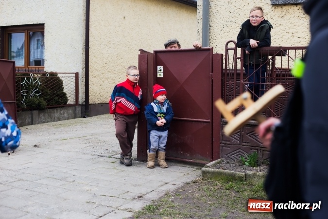 Zdjęcie w galerii na portalu naszraciborz.pl: Pradawnym zwyczajem w Raciborzu-Sudole znów było dziś słychać klekotki wiadomości z regionu