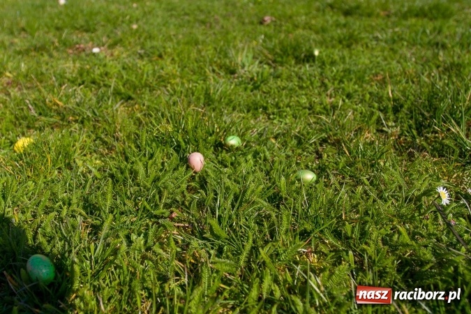 Zdjęcie w galerii na portalu naszraciborz.pl: Wielkanocne spotkanie w farskich ogrodach wiadomości z regionu
