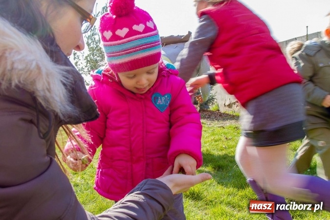 Zdjęcie w galerii na portalu naszraciborz.pl: Wielkanocne spotkanie w farskich ogrodach wiadomości z regionu