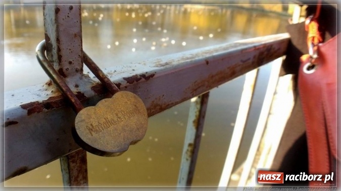 Zdjęcie w galerii na portalu naszraciborz.pl: Na tropie raciborskich dowodów miłości wiadomości z regionu