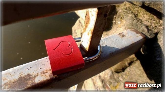 Zdjęcie w galerii na portalu naszraciborz.pl: Na tropie raciborskich dowodów miłości wiadomości z regionu