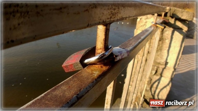 Zdjęcie w galerii na portalu naszraciborz.pl: Na tropie raciborskich dowodów miłości wiadomości z regionu