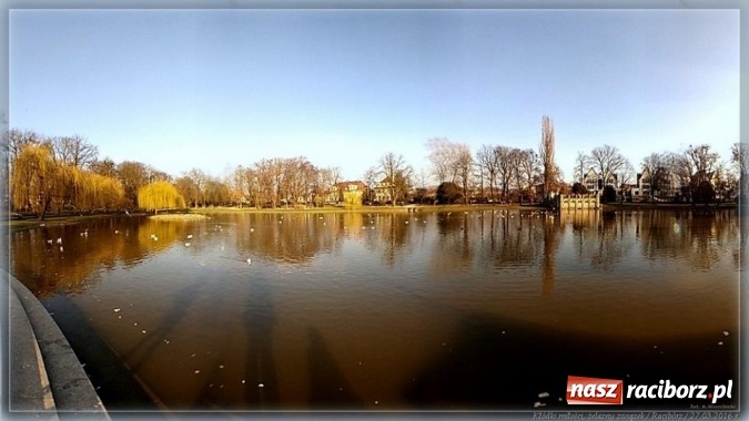 Zdjęcie w galerii na portalu naszraciborz.pl: Na tropie raciborskich dowodów miłości wiadomości z regionu
