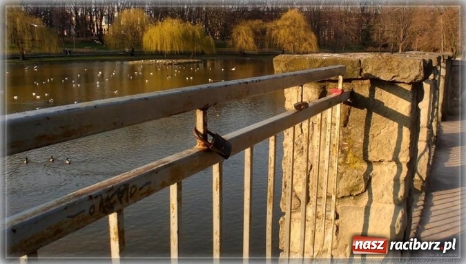 Zdjęcie w galerii na portalu naszraciborz.pl: Na tropie raciborskich dowodów miłości wiadomości z regionu