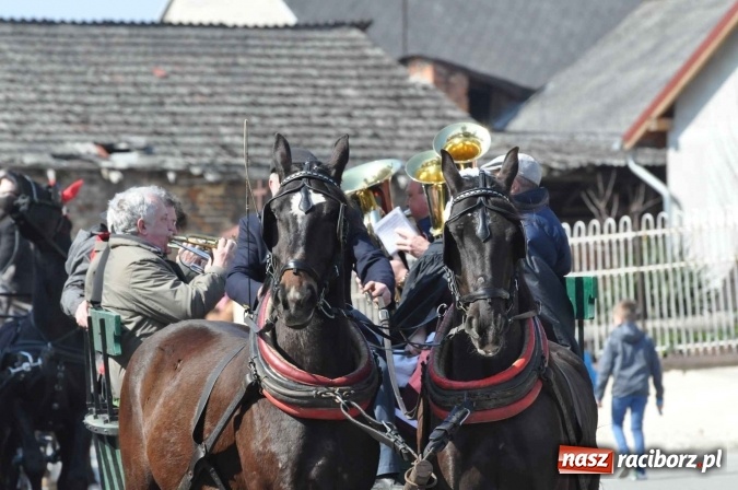 Zdjęcie w galerii na portalu naszraciborz.pl: Dyliżans i baśniowa karoca na procesji wielkanocnej w Pietrowicach Wielkich wiadomości z regionu