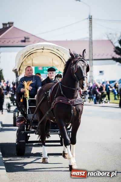 Zdjęcie w galerii na portalu naszraciborz.pl: Sudolskie radosne rajtowanie, czyli z Jezusem Zmartwychwstałym przez pola wiadomości z regionu