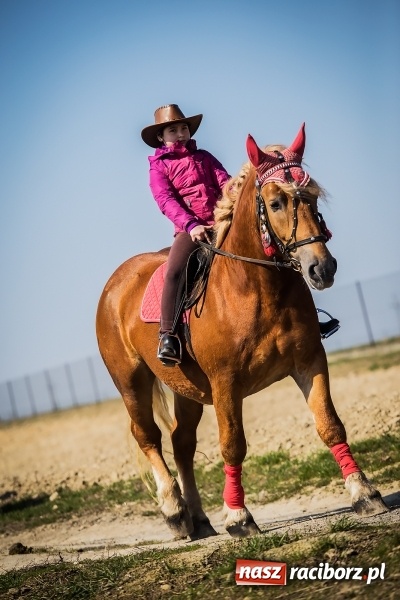 Zdjęcie w galerii na portalu naszraciborz.pl: Sudolskie radosne rajtowanie, czyli z Jezusem Zmartwychwstałym przez pola wiadomości z regionu
