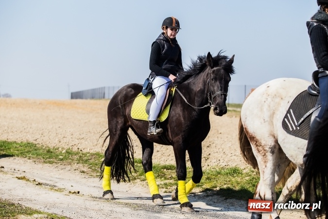 Zdjęcie w galerii na portalu naszraciborz.pl: Sudolskie radosne rajtowanie, czyli z Jezusem Zmartwychwstałym przez pola wiadomości z regionu