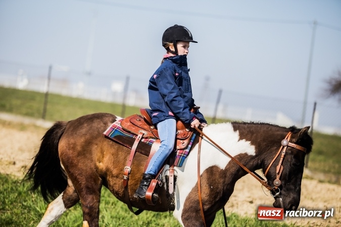 Zdjęcie w galerii na portalu naszraciborz.pl: Sudolskie radosne rajtowanie, czyli z Jezusem Zmartwychwstałym przez pola wiadomości z regionu