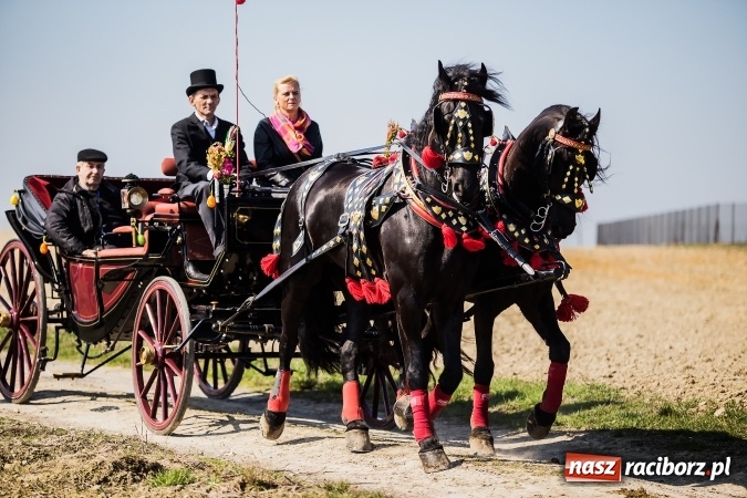 Zdjęcie w galerii na portalu naszraciborz.pl: Sudolskie radosne rajtowanie, czyli z Jezusem Zmartwychwstałym przez pola wiadomości z regionu