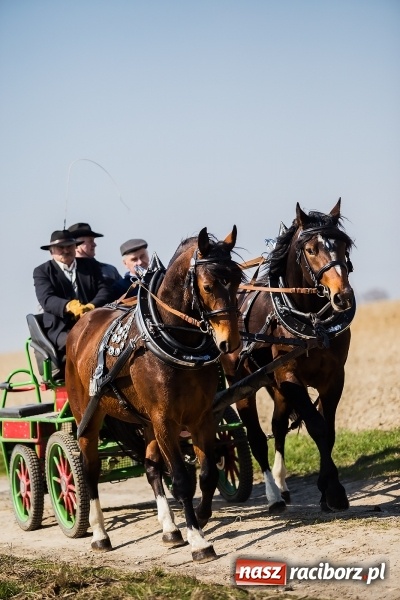 Zdjęcie w galerii na portalu naszraciborz.pl: Sudolskie radosne rajtowanie, czyli z Jezusem Zmartwychwstałym przez pola wiadomości z regionu
