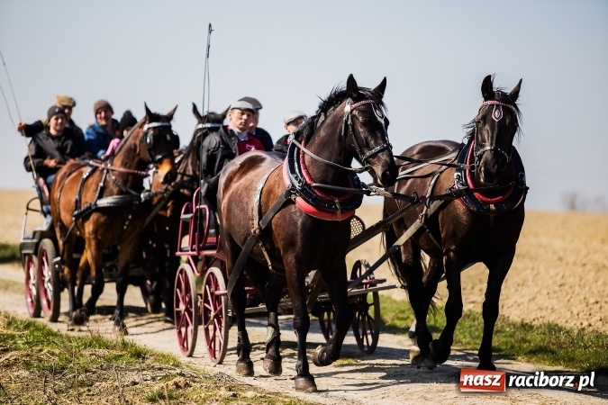 Zdjęcie w galerii na portalu naszraciborz.pl: Sudolskie radosne rajtowanie, czyli z Jezusem Zmartwychwstałym przez pola wiadomości z regionu