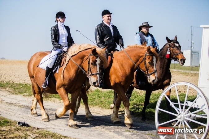 Zdjęcie w galerii na portalu naszraciborz.pl: Sudolskie radosne rajtowanie, czyli z Jezusem Zmartwychwstałym przez pola wiadomości z regionu