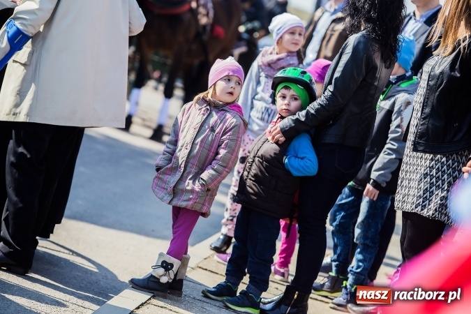 Zdjęcie w galerii na portalu naszraciborz.pl: Sudolskie radosne rajtowanie, czyli z Jezusem Zmartwychwstałym przez pola wiadomości z regionu