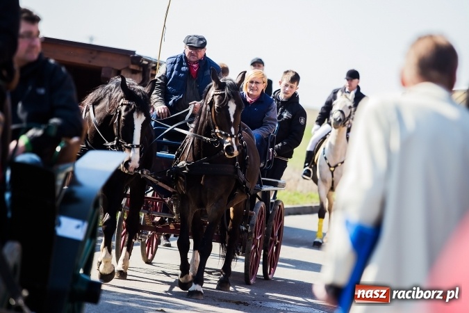 Zdjęcie w galerii na portalu naszraciborz.pl: Sudolskie radosne rajtowanie, czyli z Jezusem Zmartwychwstałym przez pola wiadomości z regionu