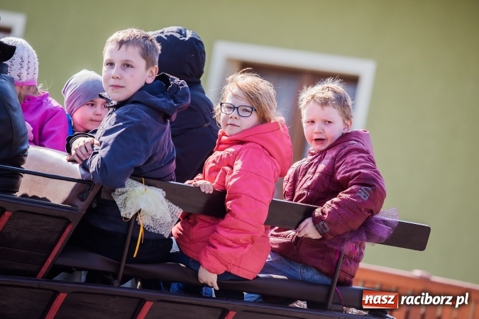Zdjęcie w galerii na portalu naszraciborz.pl: Sudolskie radosne rajtowanie, czyli z Jezusem Zmartwychwstałym przez pola wiadomości z regionu
