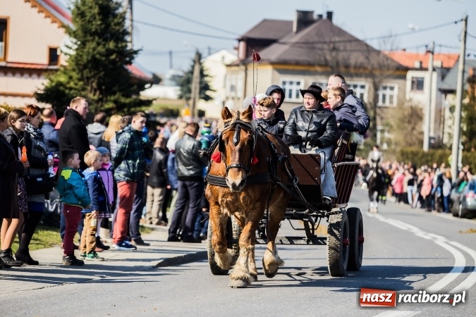 Zdjęcie w galerii na portalu naszraciborz.pl: Sudolskie radosne rajtowanie, czyli z Jezusem Zmartwychwstałym przez pola wiadomości z regionu