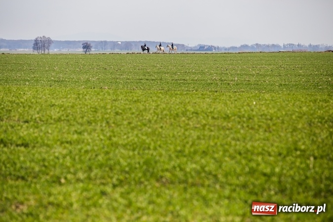 Zdjęcie w galerii na portalu naszraciborz.pl: Sudolskie radosne rajtowanie, czyli z Jezusem Zmartwychwstałym przez pola wiadomości z regionu