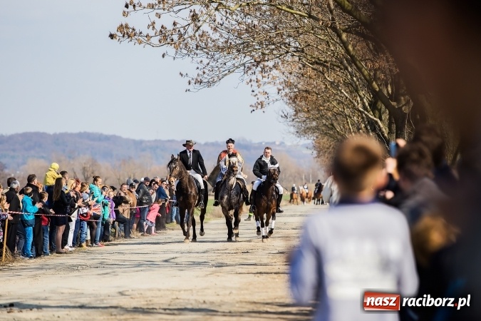 Zdjęcie w galerii na portalu naszraciborz.pl: Sudolskie radosne rajtowanie, czyli z Jezusem Zmartwychwstałym przez pola wiadomości z regionu