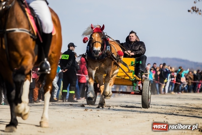 Zdjęcie w galerii na portalu naszraciborz.pl: Sudolskie radosne rajtowanie, czyli z Jezusem Zmartwychwstałym przez pola wiadomości z regionu