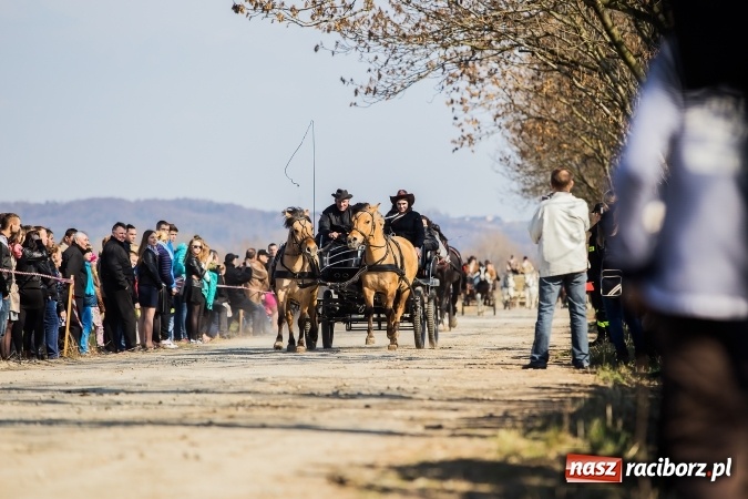 Zdjęcie w galerii na portalu naszraciborz.pl: Sudolskie radosne rajtowanie, czyli z Jezusem Zmartwychwstałym przez pola wiadomości z regionu
