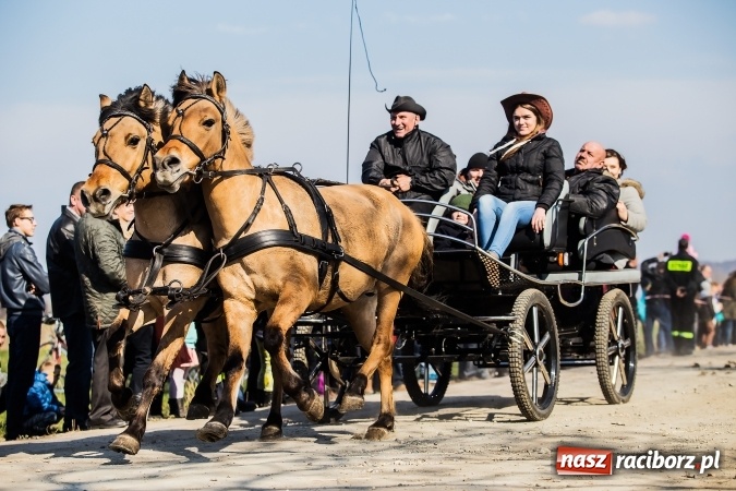 Zdjęcie w galerii na portalu naszraciborz.pl: Sudolskie radosne rajtowanie, czyli z Jezusem Zmartwychwstałym przez pola wiadomości z regionu