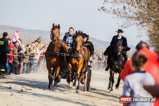 Zdjęcie w galerii na portalu naszraciborz.pl: Sudolskie radosne rajtowanie, czyli z Jezusem Zmartwychwstałym przez pola wiadomości z regionu
