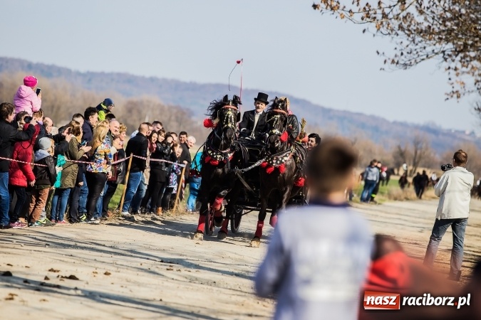 Zdjęcie w galerii na portalu naszraciborz.pl: Sudolskie radosne rajtowanie, czyli z Jezusem Zmartwychwstałym przez pola wiadomości z regionu