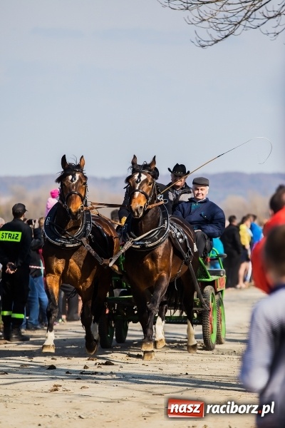 Zdjęcie w galerii na portalu naszraciborz.pl: Sudolskie radosne rajtowanie, czyli z Jezusem Zmartwychwstałym przez pola wiadomości z regionu