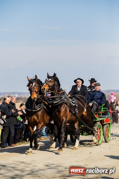 Zdjęcie w galerii na portalu naszraciborz.pl: Sudolskie radosne rajtowanie, czyli z Jezusem Zmartwychwstałym przez pola wiadomości z regionu